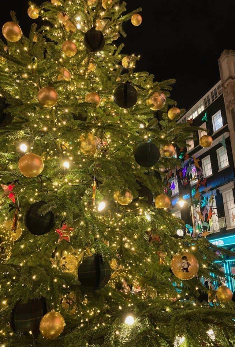 Christmas lights trail©Muriel GP 2022