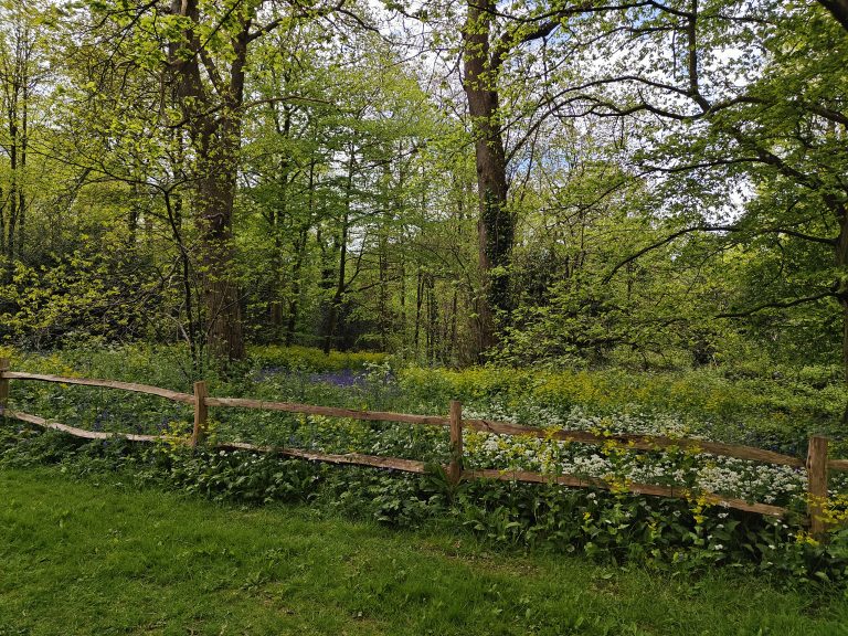 oplus_1048578