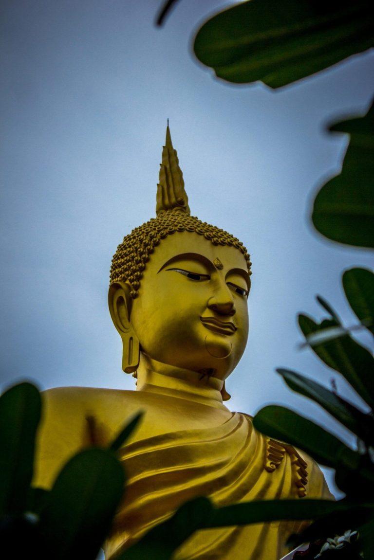 gautama-buddha-statue-937464
